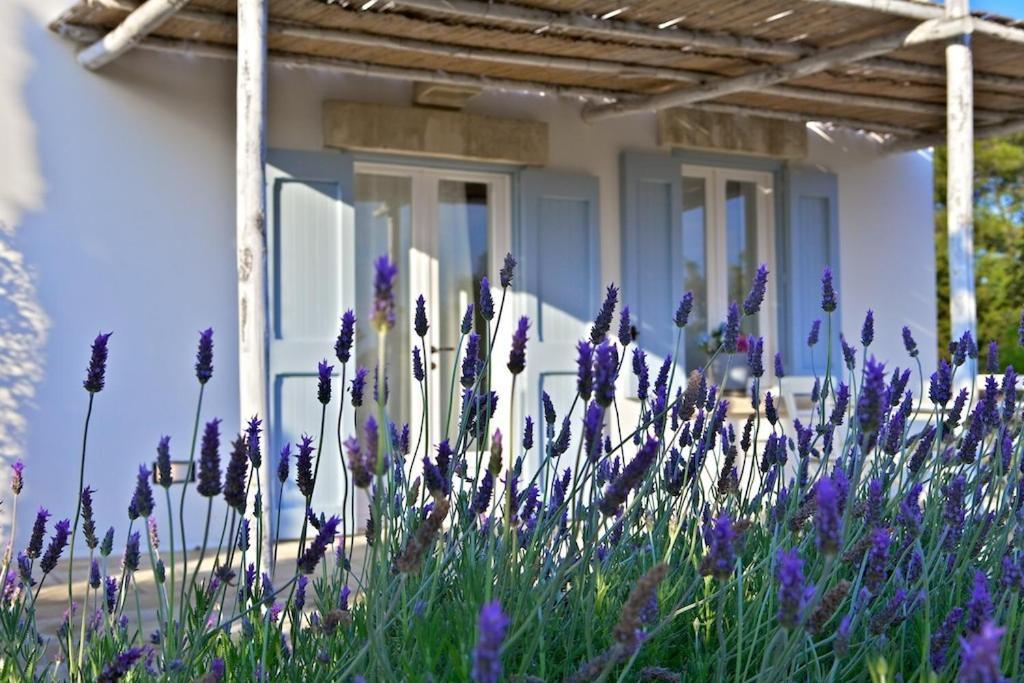 Masseria Montelauro Otranto Kültér fotó