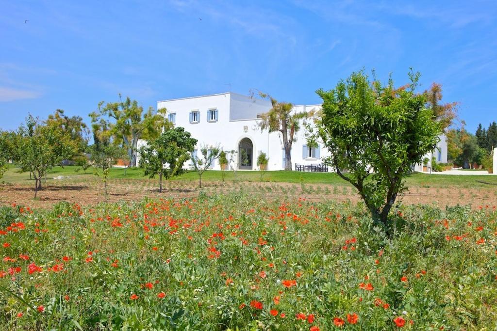 Masseria Montelauro Otranto Kültér fotó