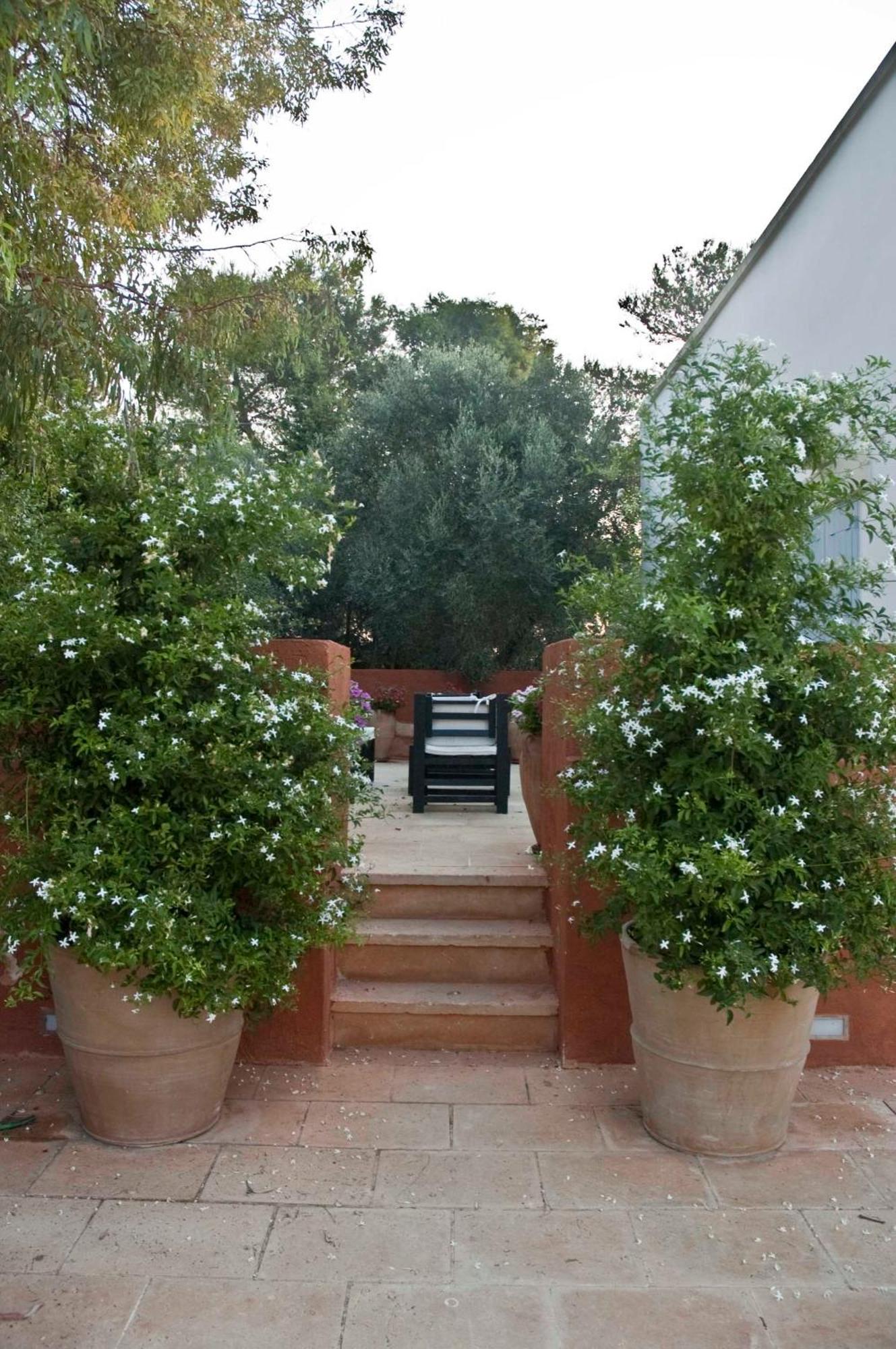 Masseria Montelauro Otranto Kültér fotó
